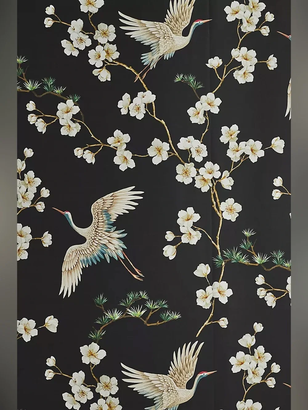 New Anthropologie x Carl Robinson Swithins Black Swan Cran Wallpaper Wall Mural